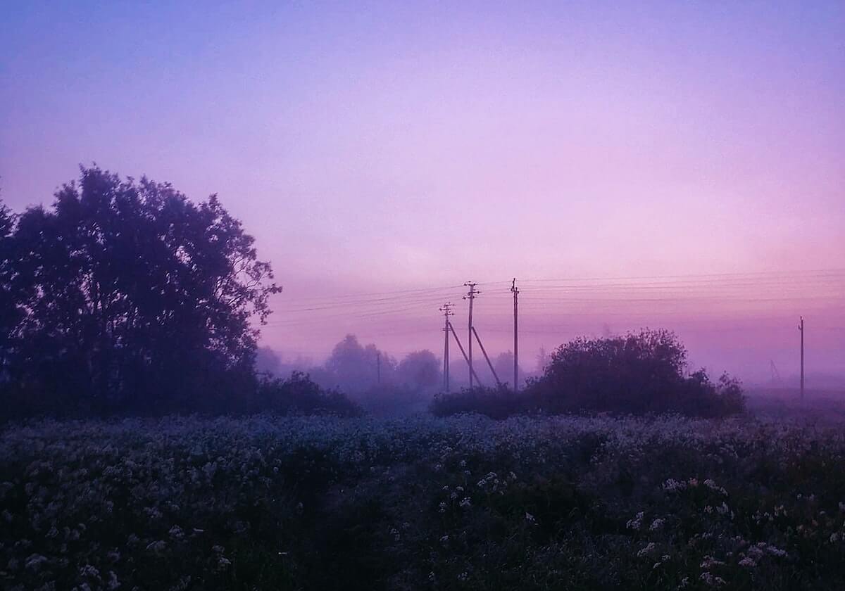 开云官网：开启云端生活的新入口